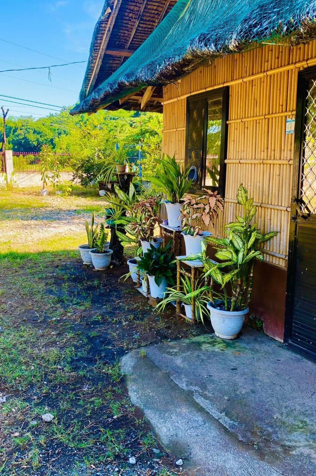 Casa De Flores Alaminos Eksteriør billede